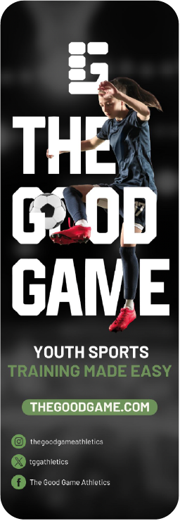 The Good Game asset 3