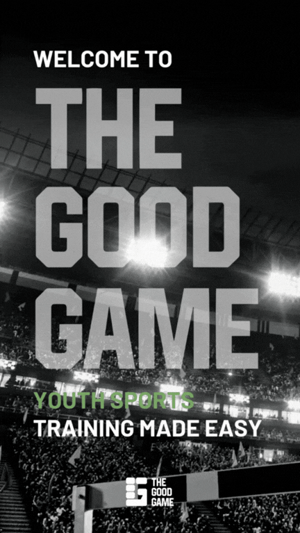 The Good Game asset 2